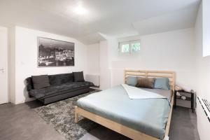 Spacieux Studio, Maison de Maître, Parking Privé sur Place, MULHOUSE CENTRE