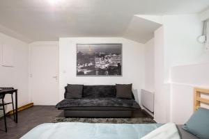 Appartements Spacieux Studio, Maison de Maitre, Parking Gratuit sur Place, MULHOUSE CENTRE : photos des chambres