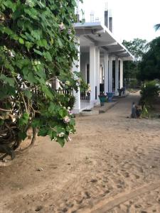 AKM Resort Whisky Point