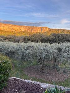Maisons de vacances LES CISTES : photos des chambres