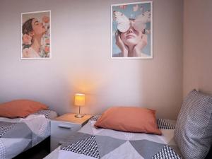Appartements Joli 3P avec terrasse et Garage proche Centre : photos des chambres