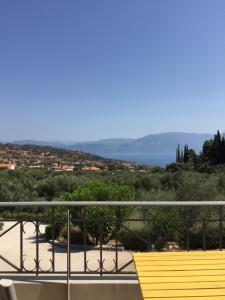 The Olive Orchard