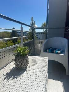 Apartament pod Aniołami