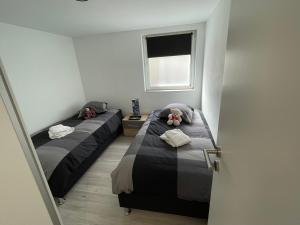 Appartements Le 1470 Appart 4 personnes Selestat centre historique Alsace centrale : photos des chambres