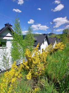 Dydusiowe Tarasy Górska Willa z Widokiem i Ogrodem Idealna dla Rodzin