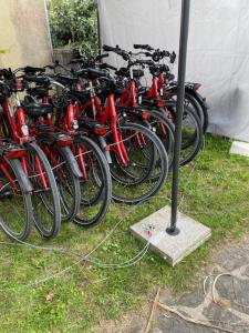 Campings Camping Le Bois D-Amour : photos des chambres