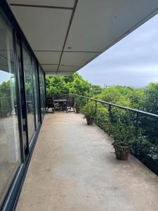 The Treehouse Mtunzini