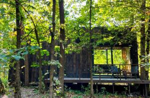 Carthome - wyjątkowe miejsce leśnego wypoczynku