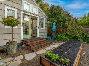 Star Studio, A Modern Dream