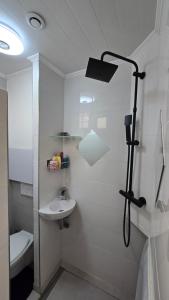 studio maisonnette parisien