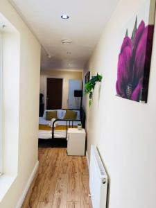 Beautiful one bedroom flat in central Location