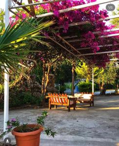 İstanbul pansiyon side