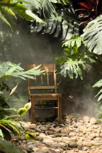 Thỏ Non Garden - Bảo Lộc Center 02