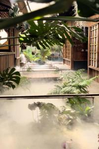 Thỏ Non Garden - Bảo Lộc Center 02