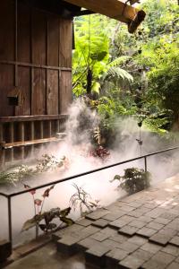 Thỏ Non Garden - Bảo Lộc Center 02