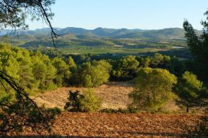 Sejours a la campagne Gite sur un domaine viticole en agriculture biologique : photos des chambres