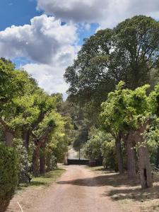 Sejours a la campagne Gite sur un domaine viticole en agriculture biologique : photos des chambres