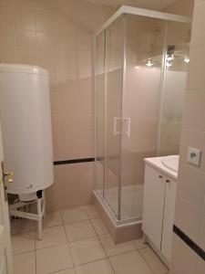 Trégastel Appartement 50 m de la plage