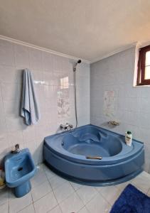 Nick Cougar Apartmnet