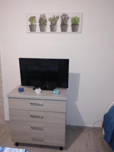 Large Double or Twin Room