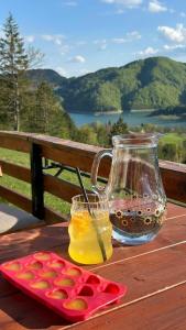 Zaovinska Panorama I