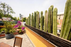 Hacienda Gobernadores Boutique Stay in a Historic 19th-Century Hacienda