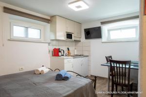 Center of Portorož basement apartment 