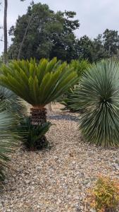 Kabana La palmeraie- confort- détente assurée - 7 kms plages