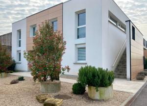 Appartements APPARTEMENT 90 M2 3 Chambres 6 couchages : photos des chambres