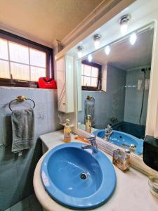 Nick Cougar Apartmnet