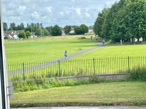 Urban Garden Hideaway