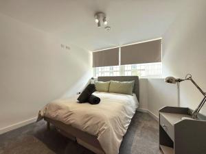 Central Sheffield 1 Bed Flat, Sleeps 3, City Views, Full Kitchen