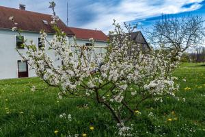 Familienapartment Vogtland
