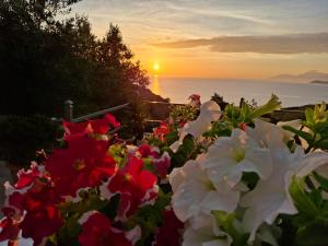 Amar Seaside - 3hvězdičkové hotely ve městě Ksamil