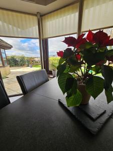 Dog-Friendly Country Home, Woodburner, Private Fields & Hot Tub!