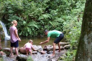 Hotel - Gasthof Blume