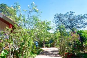 Vạn Tùng Homestay & Café