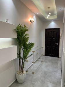 شقه مفروشه 3 غرف امام سيتي ستارز