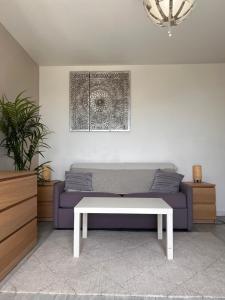 Appartements studio4 27m2 Terrasse Parking Piscine : photos des chambres