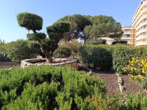 Apartment Le Méditerranée-4 by Interhome