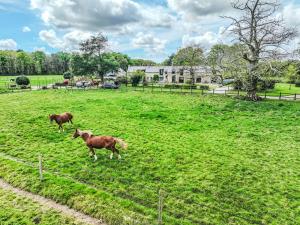 Maisons de vacances Holiday Home Gwennadu by Interhome : photos des chambres