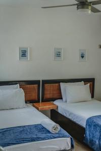Villa Xcambo San bruno