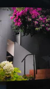 Casa Boa Vista