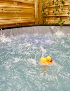 Appartements Studio le moutik du bord de mer avec SPA et sauna parking gratuit : photos des chambres