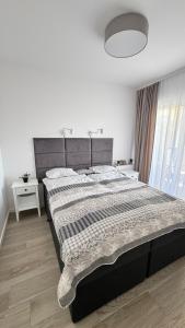 Apartament GreyAppart