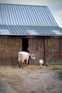 Maisons d'hotes Chambre d-hotes a la Ferme de la Porte en Aix pour 5 : photos des chambres