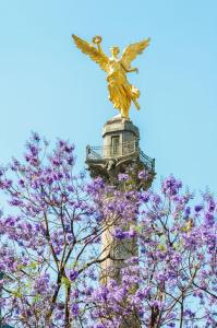 Penthouse in the heart of Mexico City
