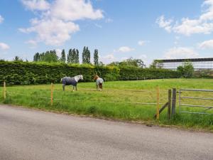 Elmcroft - Uk48353