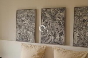 Appartements COC - La Palme : Appartement 1 Chambre