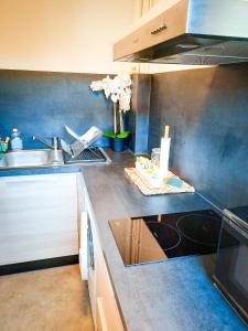 Appartements JOLI STUDIO AVEC PARKING ET NETFLIX - Proche du palais des exposition, du stade de Beaublanc et du Zenith : photos des chambres